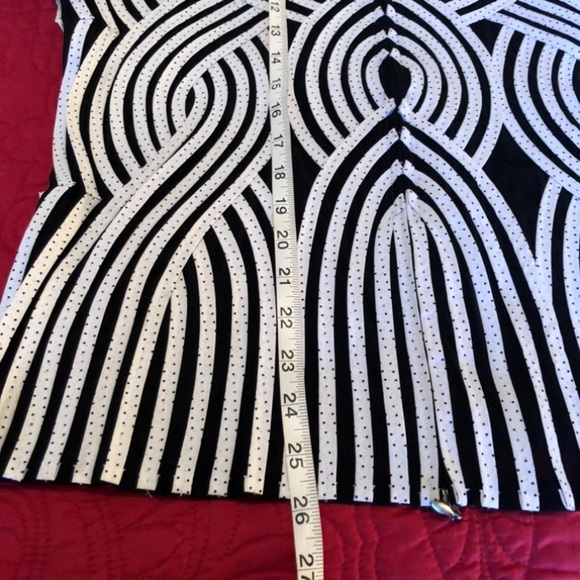 ALEXANDRA ROSATI - L Sz 14 black sheer/white ribbon zip top. GREAT CONDITION! - Picture 11 of 14